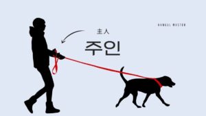 韓国語で「主人・持ち主」とは？【주인】意味を勉強しよう！
