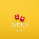 韓国語で「正反対」とは？【정반대】意味を勉強しよう！