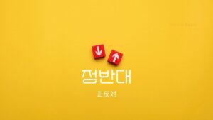 韓国語で「正反対」とは？【정반대】意味を勉強しよう！