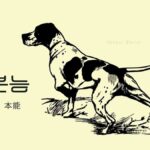 韓国語で「本能」とは?【본능】意味を勉強しよう!
