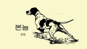 韓国語で「本能」とは?【본능】意味を勉強しよう!