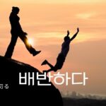 韓国語で「裏切る」とは?【배반하다】意味を勉強しよう!