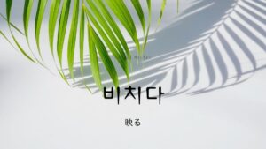 韓国語で「映る」とは？【비치다】意味を勉強しよう！