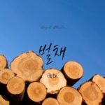 韓国語で「伐採」とは？【벌채】意味を勉強しよう！