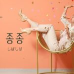 韓国語で「しばしば」とは?【종종】意味を勉強しよう!
