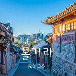韓国語で「見どころ」とは?【볼거리】意味を勉強しよう!