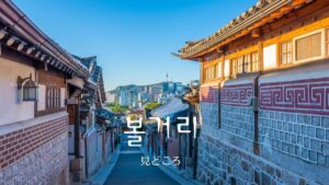 韓国語で「見どころ」とは?【볼거리】意味を勉強しよう!