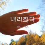 韓国語で「照りつける」とは？【내리쬐다】意味を勉強しよう！