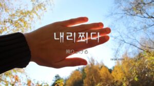 韓国語で「照りつける」とは？【내리쬐다】意味を勉強しよう！