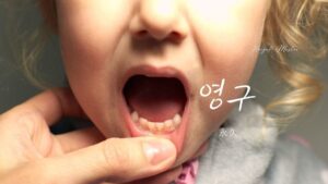 韓国語で「永久」とは?【영구】意味を勉強しよう!