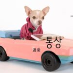 韓国語で「通常」とは?【통상】意味を勉強しよう!
