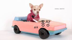 韓国語で「通常」とは?【통상】意味を勉強しよう!