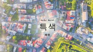 韓国語で「特色」とは?【특색】意味を勉強しよう!