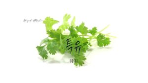 韓国語で「特有」とは?【특유】意味を勉強しよう!