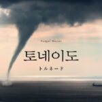 韓国語で「トルネード」とは?【토네이도】意味を勉強しよう!