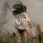 韓国語で「脱走」とは？【탈주】意味を勉強しよう！