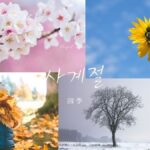 韓国語で「四季」とは?【사계절】春・夏・秋・冬を教えて!