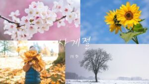 韓国語で「四季」とは?【사계절】春・夏・秋・冬を教えて!