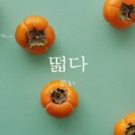 韓国語で「渋い」とは？【떫다】意味を勉強しよう！