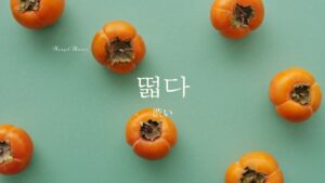 韓国語で「渋い」とは？【떫다】意味を勉強しよう！
