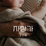 韓国の子守唄【자장가】赤ちゃん寝かしつけ「ねんねんころり」