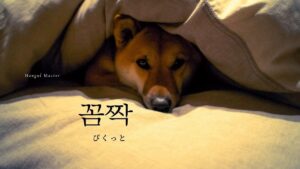 韓国語で「ぴくっと」とは？【꼼짝】意味を勉強しよう！