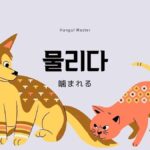 韓国語で「噛まれる」とは?【물리다】意味を勉強しよう!
