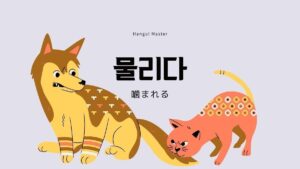 韓国語で「噛まれる」とは?【물리다】意味を勉強しよう!
