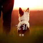 韓国語で「感慨」とは？【감회】意味を勉強しよう！