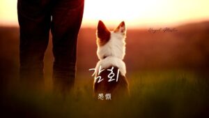 韓国語で「感慨」とは？【감회】意味を勉強しよう！