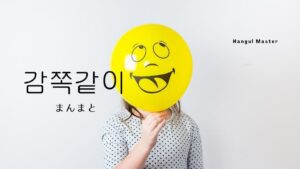 韓国語で「まんまと」とは?【감쪽같이】意味を勉強しよう!