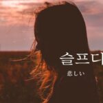 韓国語で「悲しい」とは?【슬프다】意味を教えて!