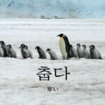 韓国語で「寒い」とは？【춥다】意味を教えて！