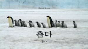 韓国語で「寒い」とは？【춥다】意味を教えて！