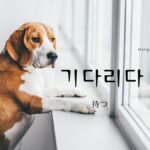 韓国語で「待つ」とは？【기다리다】意味を教えて！