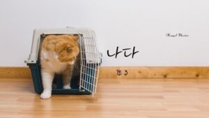 韓国語で「出る」とは?【나다】意味を教えて!