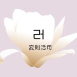 韓国語の【러変則活用】を覚えよう!
