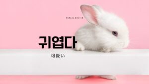 韓国語で「可愛い」とは?【귀엽다】意味を教えて!