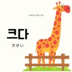 韓国語で「大きい」とは？【크다】意味を教えて！