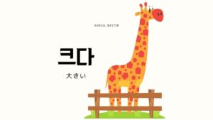 韓国語で「大きい」とは?【크다】意味を教えて!