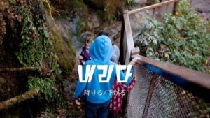 韓国語で「降りる/下がる」とは？【내리다】意味を教えて！