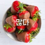 韓国語で「多い」とは？【많다】意味を勉強しよう！