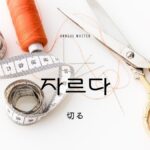 韓国語で「切る」とは？【자르다】意味を勉強しよう！