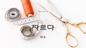 韓国語で「切る」とは?【자르다】意味を勉強しよう!