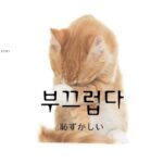 韓国語で「恥ずかしい」とは？【부끄럽다】意味を勉強しよう！