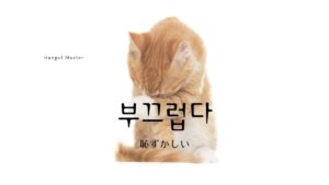 韓国語で「恥ずかしい」とは?【부끄럽다】意味を勉強しよう!