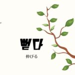 韓国語で「伸びる/延びる」とは？【뻗다】意味を勉強しよう！