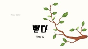 韓国語で「伸びる/延びる」とは?【뻗다】意味を勉強しよう!
