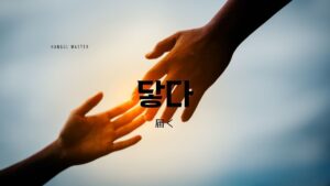韓国語で「届く」とは？【닿다】意味を勉強しよう！