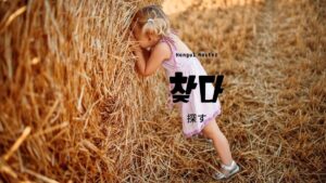 韓国語で「探す」とは？【찾다】意味を勉強しよう！